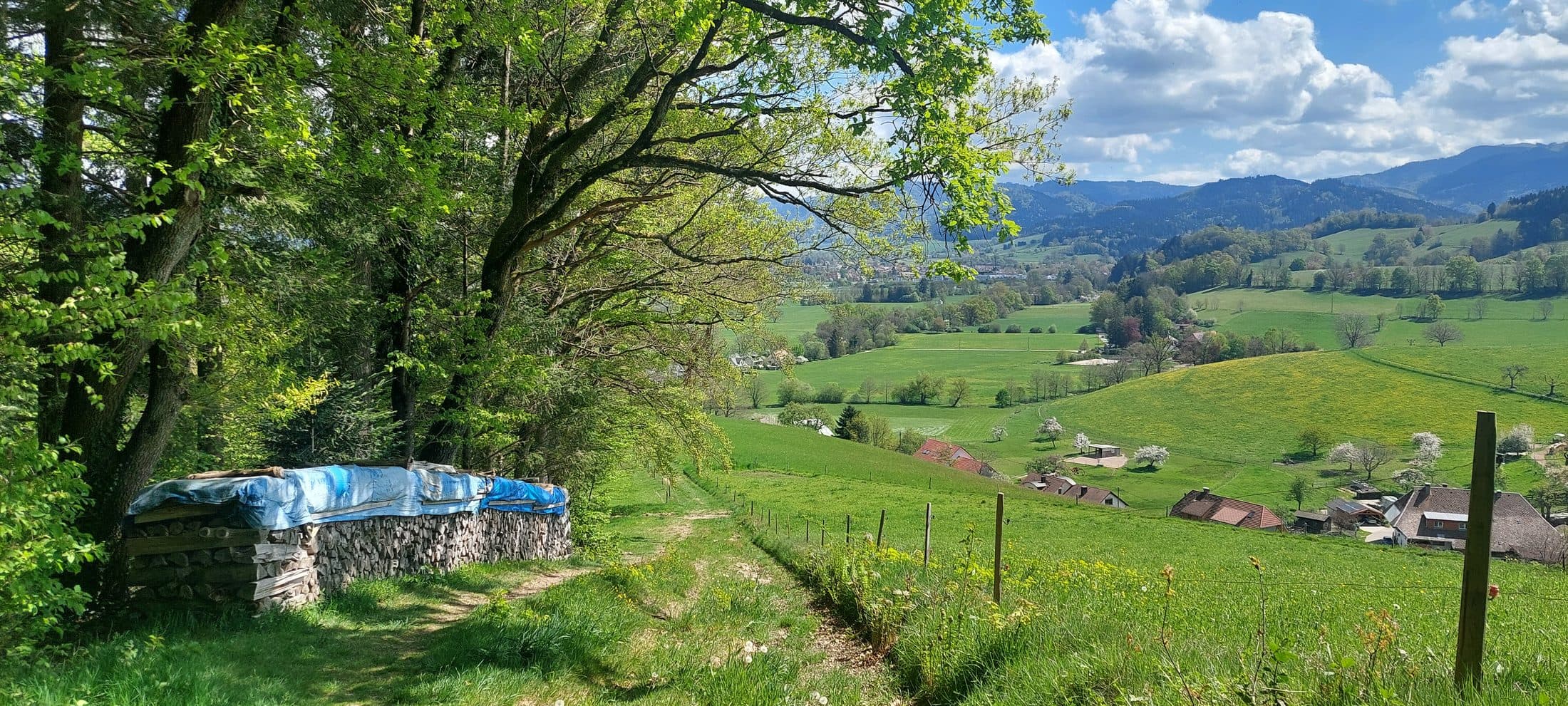 Feldweg mit Holzstapel und Blick ins Tal bei Neuhäuser