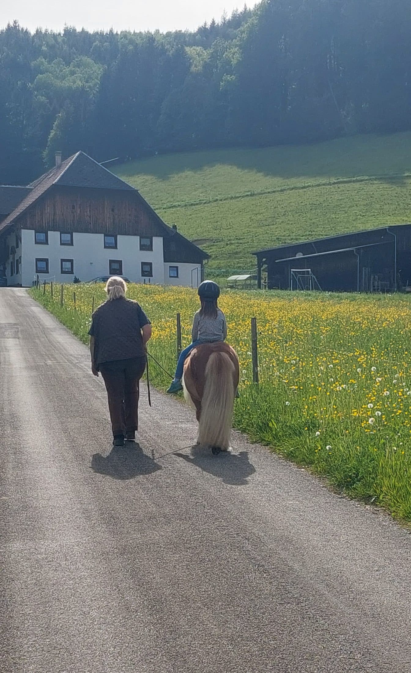 Spaziergang mit Pony auf dem Feldweg